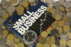 small-micro-enterprises-smes