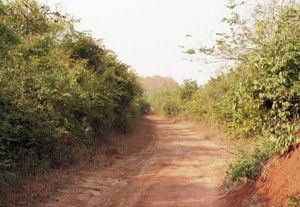 Achimota Forest