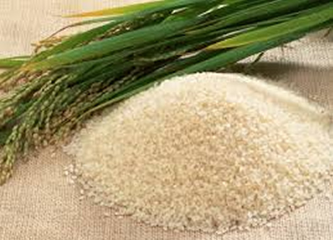 Ghana government and Zoomlion to produce local rice