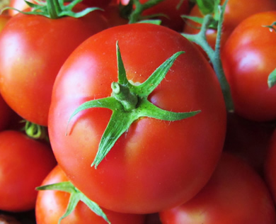 Moulds in tomatoes does not necessarily mean presence of aflatoxins – Researcher