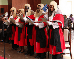 The five judges at the swearing in ceremony.