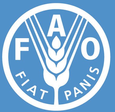 Ministry of Environment, FAO sign agreement for sustainable management of wetland resources 