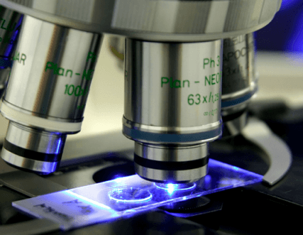 Government should invest in biotechnology related research – Professor