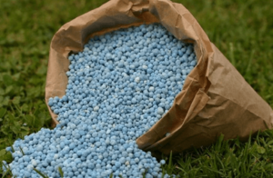 Government increases quantity of subsidised fertilizer for farmers