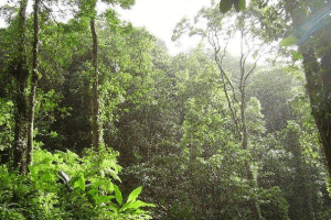 80% of residents of Kalakpa Forest Reserve willing to relocate