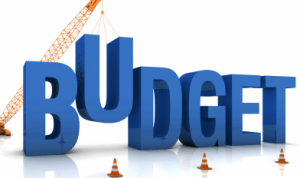 Parliament begins debate on 2019 budget