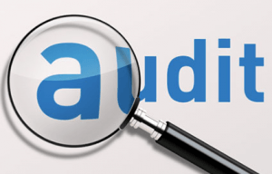 Some 477 public entities breach audit laws – IAA