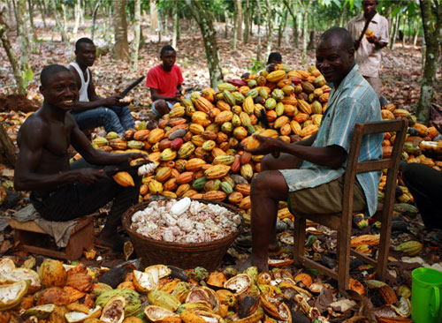 Cocoa-farmers