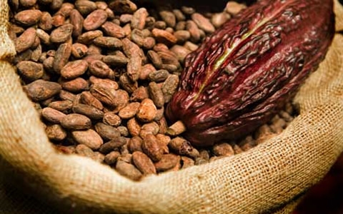 Budget 2018: Government to promote value addition to cocoa beans