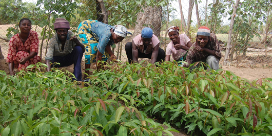 Empowering women and sustaining nature through the Boame Scheme