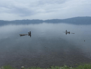 Over 21,000 tree stumps removed on Volta Lake to improve navigation