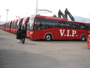 vip