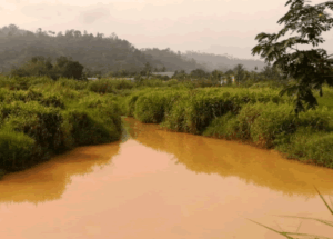 Christian Council urges President to make Birim River drinkable again 