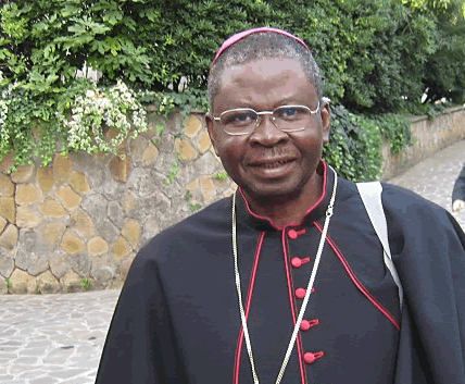 Bishop Naameh bemoans wanton destruction of fertile lands