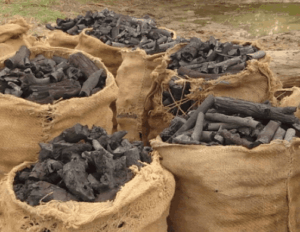 Charcoal burning the only alternative livelihood for rural women      