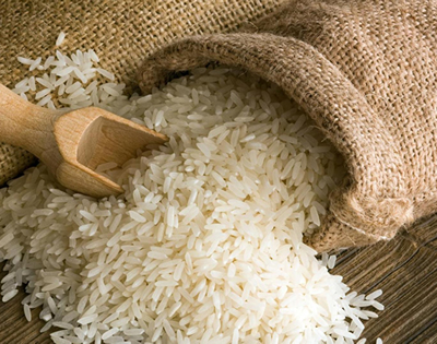 Consider CRI rice varieties for PFJ programme – Investigator