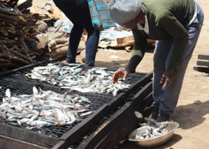 Fishermen urge government to deal with illegal transhipment of fish on sea 