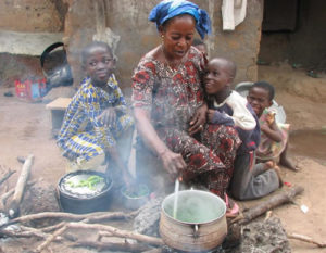 Assemblies urged to include clean cooking issues in budget