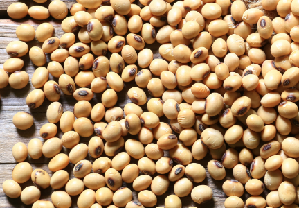 There is growing unmet market demand for soya beans in Ghana – Minister  