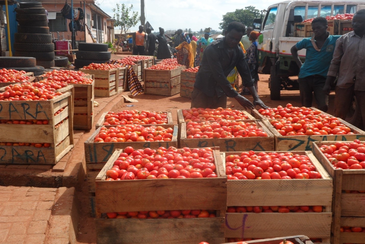 Prices of food items witness sharp decrease in Sunyani 
