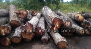 China’s lust for rosewood fuels logging in Ghana’s poorest region