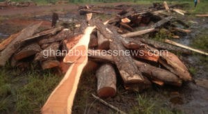 Sissala youths demand transfer of Forestry Commission staff over rosewood logging