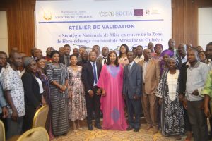 Guinea dialogues on national strategy for AfCFTA