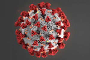 Global eradication of coronavirus not a reasonable target – WHO envoy