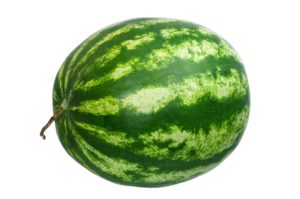 High yielding watermelon seed introduced to farmers 