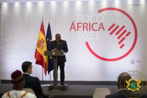 Africa and Europe must forge sustainable and strategic partnership – President