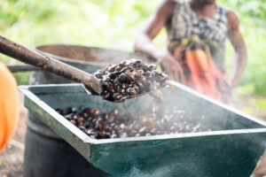 Ghanaian crude palm oil company receives $1.1m to support smallholder farmers in West Africa