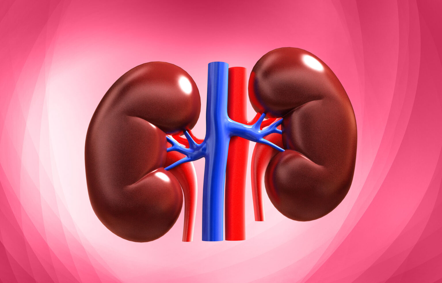 born-too-soon-or-too-light-and-kidney-disease-in-ghana-ghana
