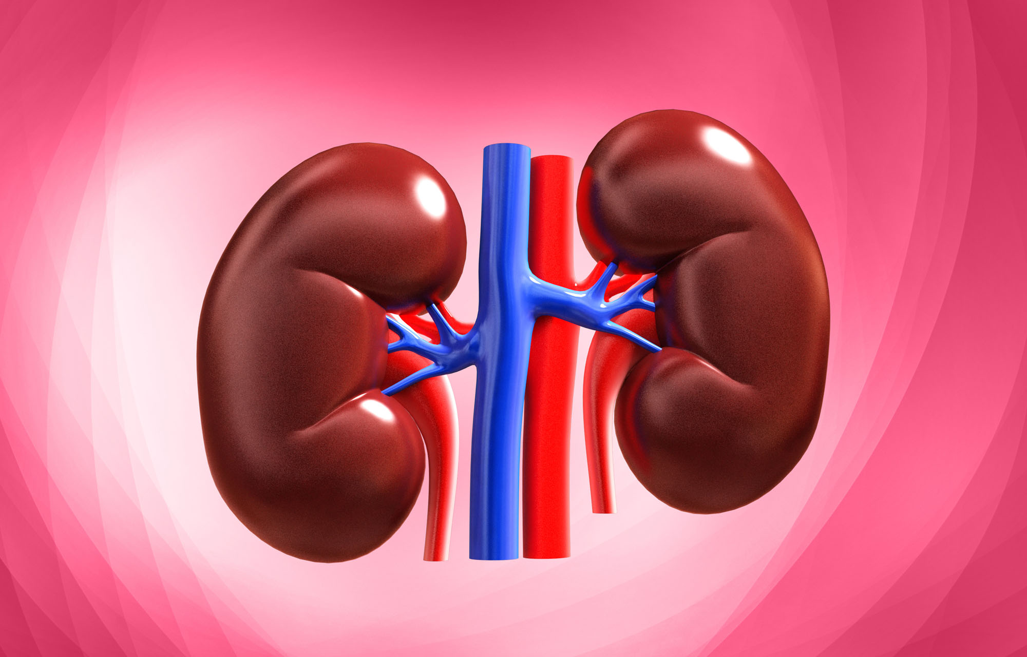 Keeping urine can lead to kidney diseases – Dialysis Nurse
