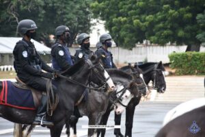 Acting IGP launches police horse patrol operations