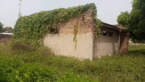Squatters, weeds take over one million dollar per Constituency project