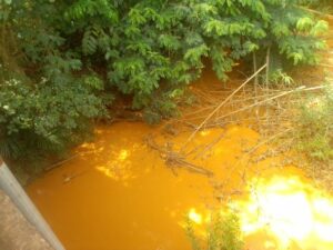 Galamsey still affecting Ghana’s cocoa production
