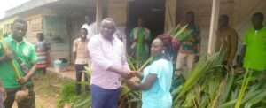 Assembly gives cocoa farmers coconut seedlings