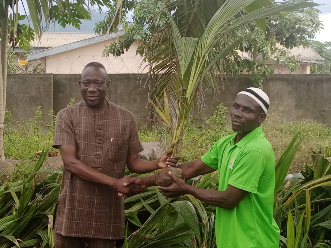 Kadjebi Assembly distributes coconut seedlings to boost rural economic growth