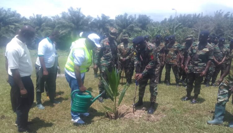 Social Tree Planting Security 1
