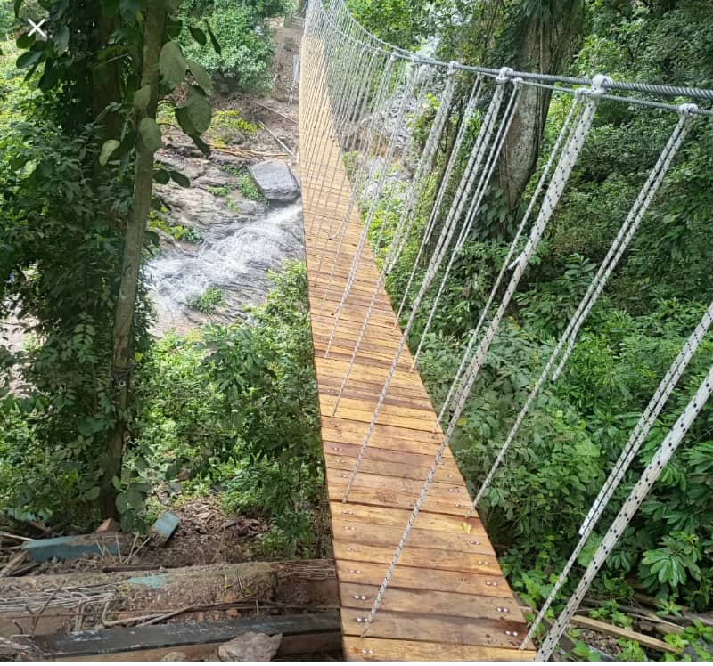 First canopy walkway in Volta Region opens