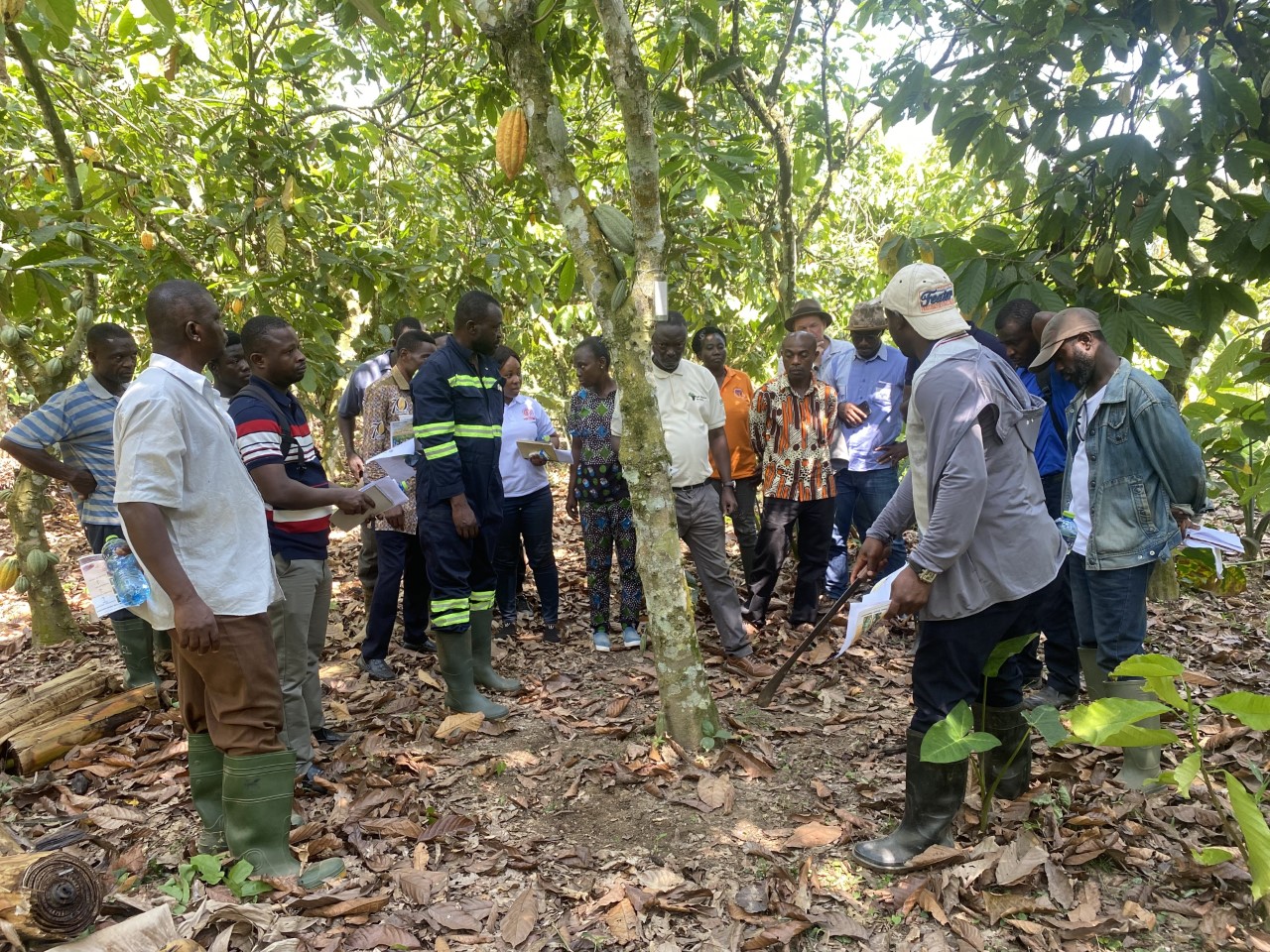 CSIR-SRI pilots remote sensing for fertilizer application on cocoa farms 