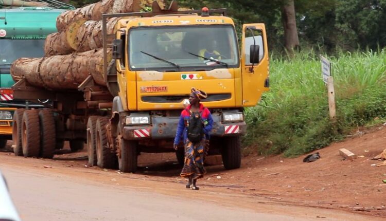 a truck carriyng timber logs