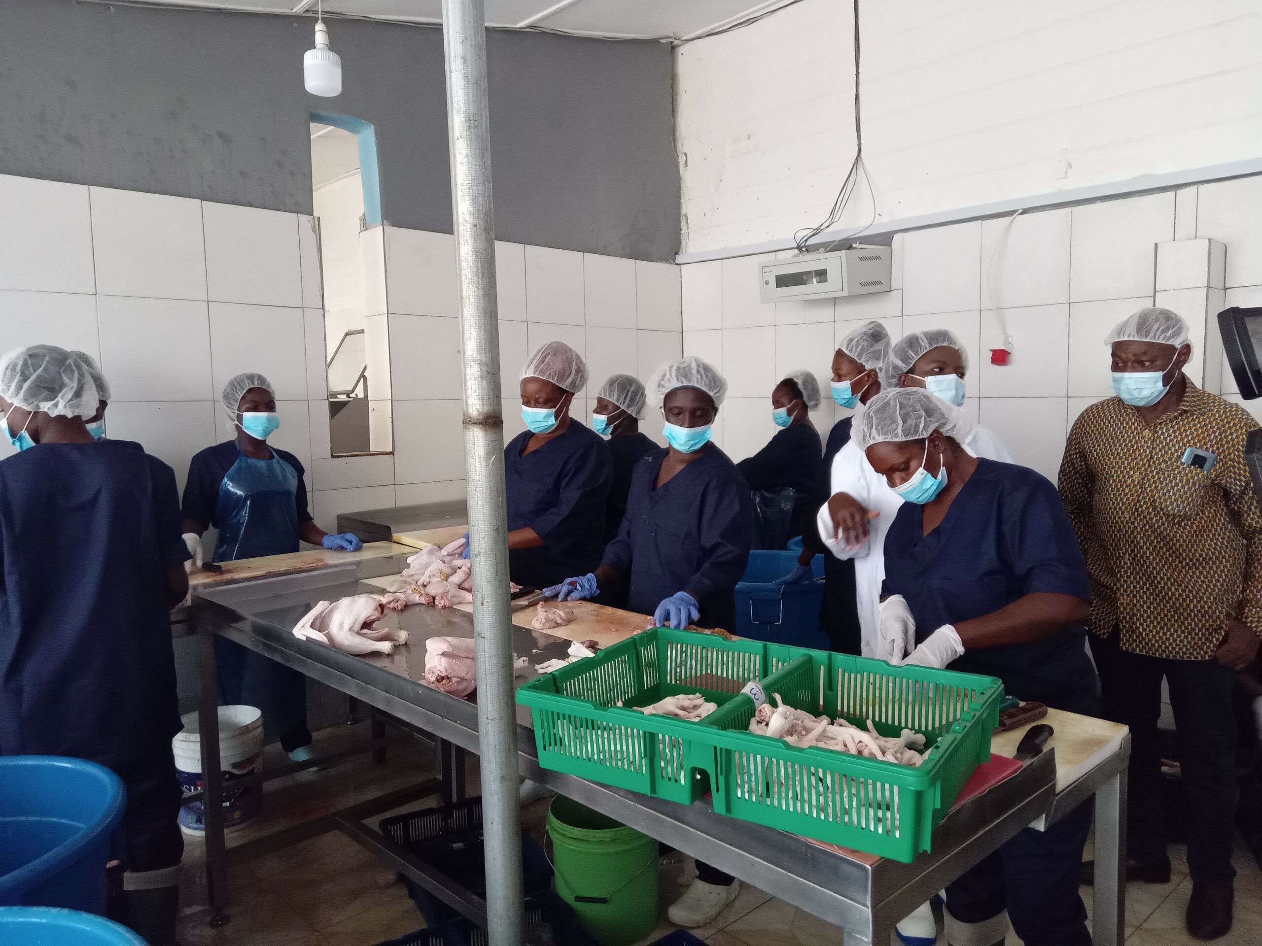 Rearing for Food and Jobs: MOFA supports poultry farms to scale up production