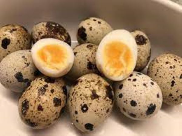 There is high demand for quail eggs in Ghana
