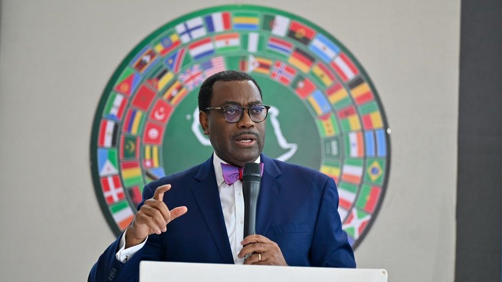 Africa not risky for private sector climate change, green growth investment – AfDB President  