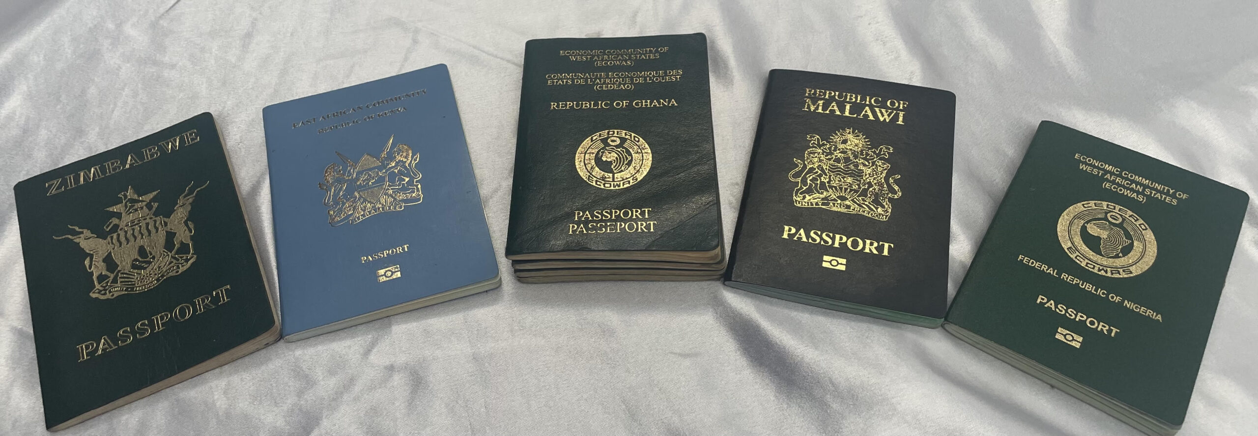Minister proposes Ghana passport fees increased from GH¢100 to GH¢644 