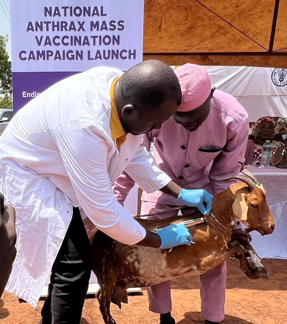 US government donates 100,000 anthrax vaccines to support vaccination campaign in Ghana