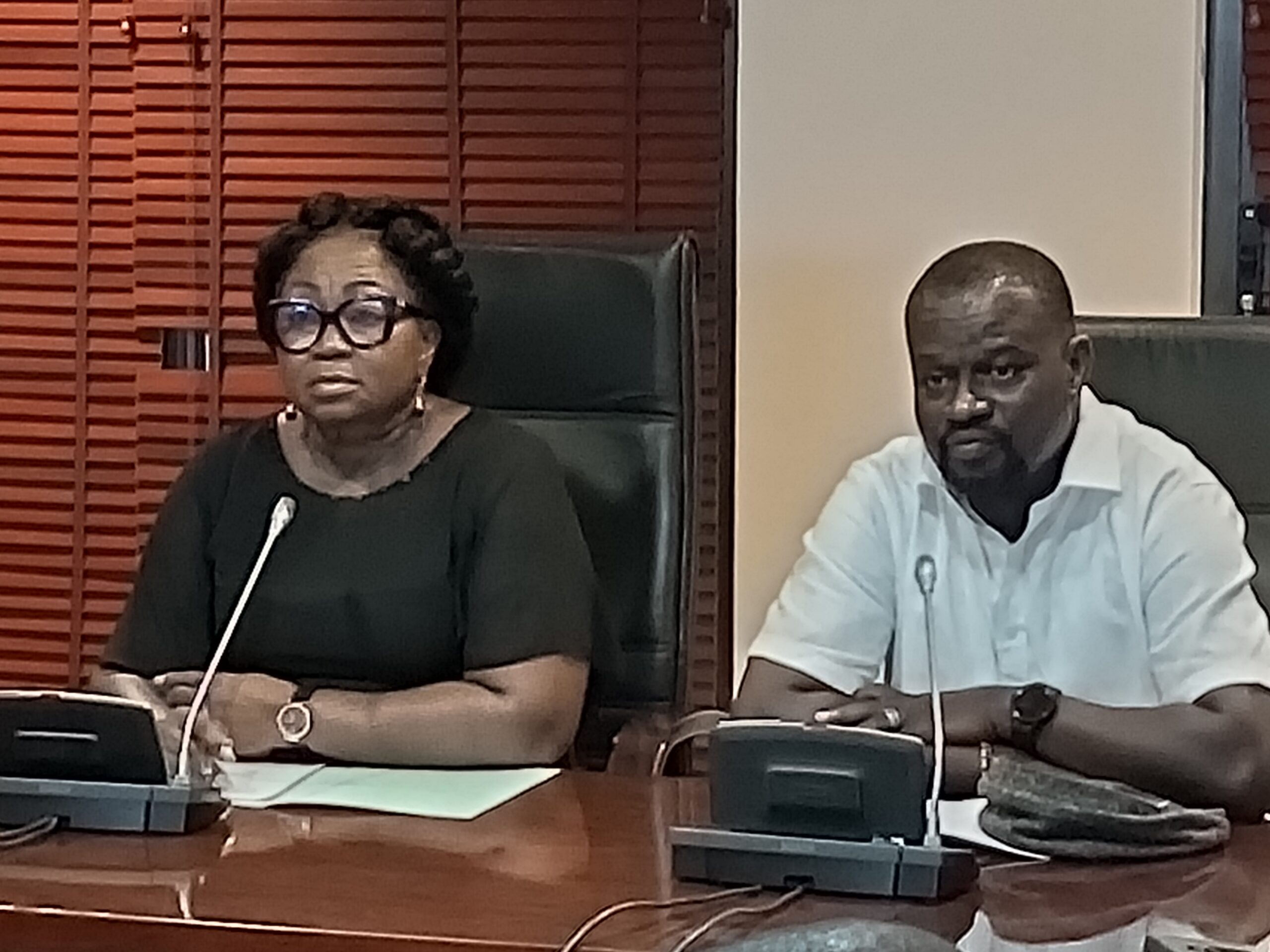 No Parliamentary candidate or MP has been allocated recruitment slots in security services – Patricia Appiagyei