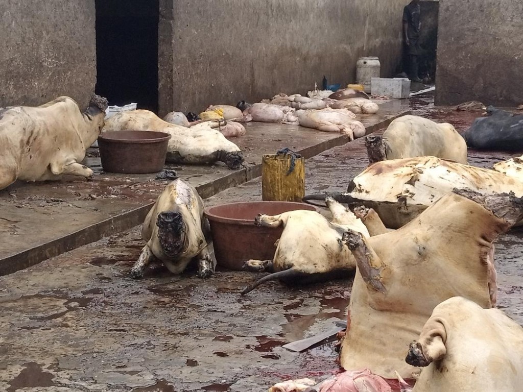 Aggrieved butchers reject upward adjustment of slaughter fees, threaten street protest  