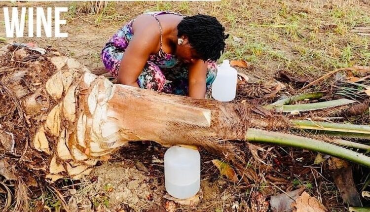 Social Palm Wine